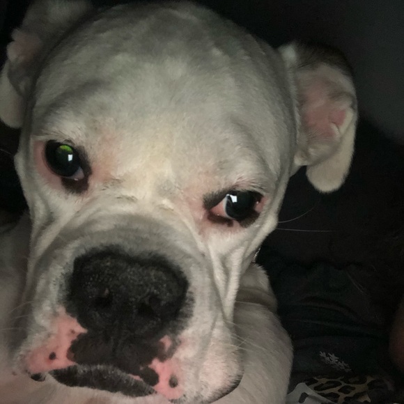 Meet your Posher, Rebecca - Picture 1 of 1